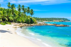 מתי הכי כדאי לטוס לסרי לנקה