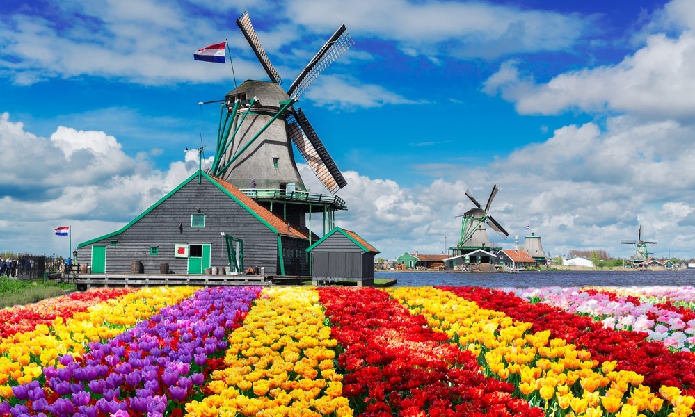 ביטוח נסיעות להולנד
